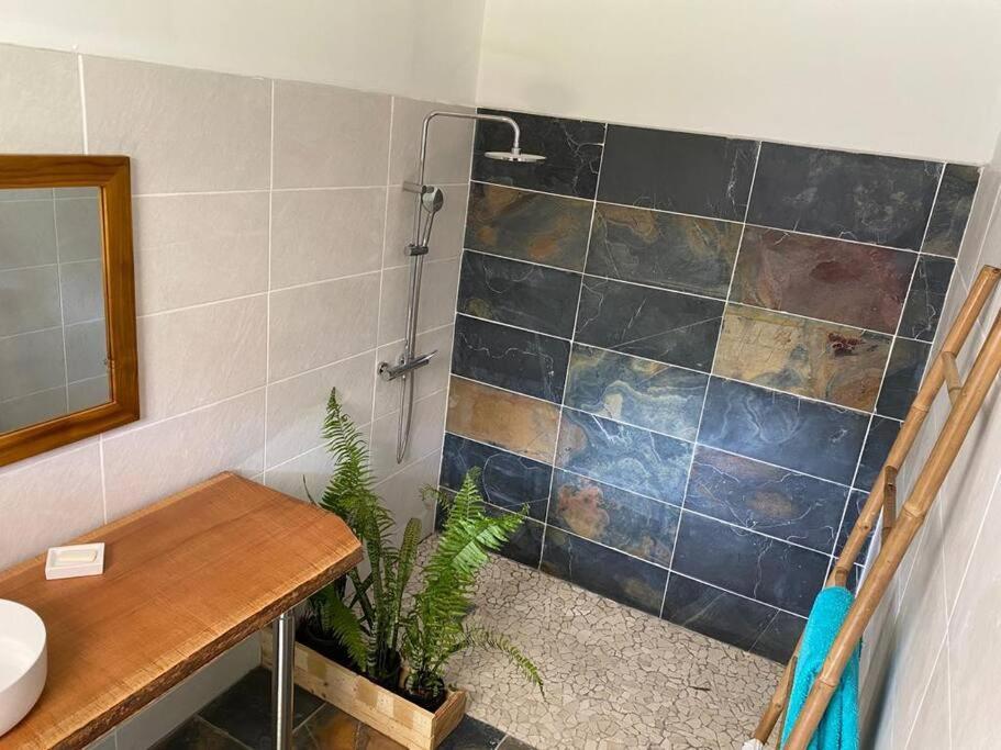 Zayann Zen Lägenhet Gourbeyre Exteriör bild